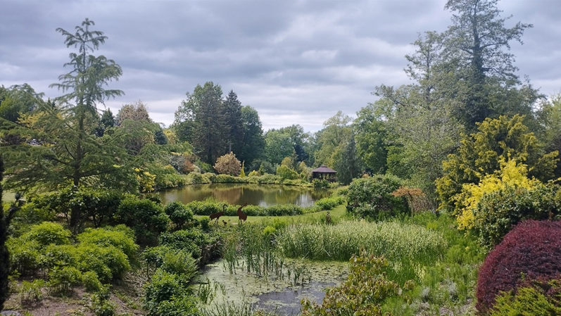 Panorama_ogrodu_w_Arboretum_w_Wojsławicach.png