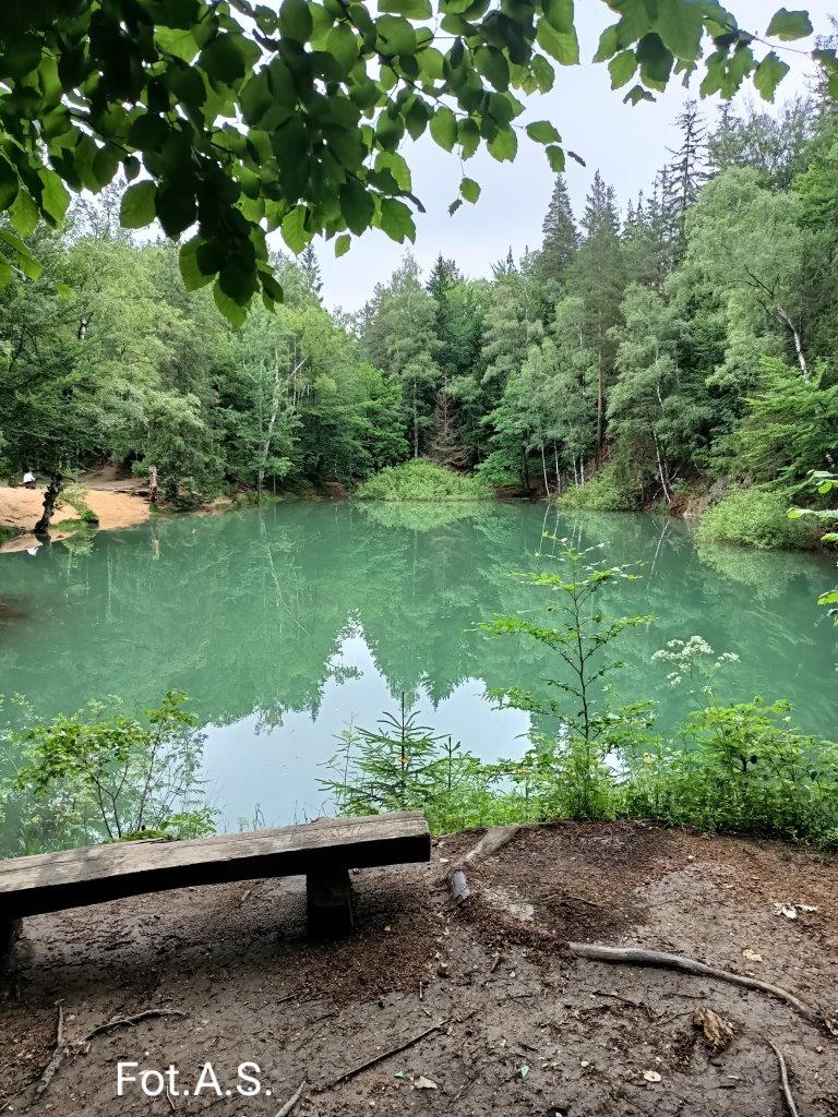 Zdjęcie jeziorka w kolorze błękitnym, dookoła las mieszany, na dole zdjęcia czarna ziemia i drewniana ławeczka z bali