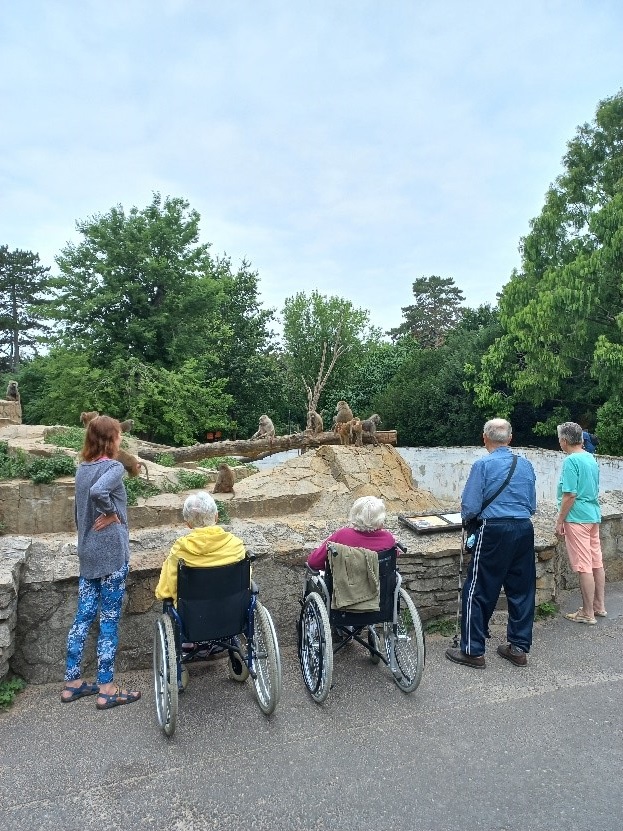 Przedstawia mieszkańców oglądających zwierzęta w Zoo -małpki – pawiany.