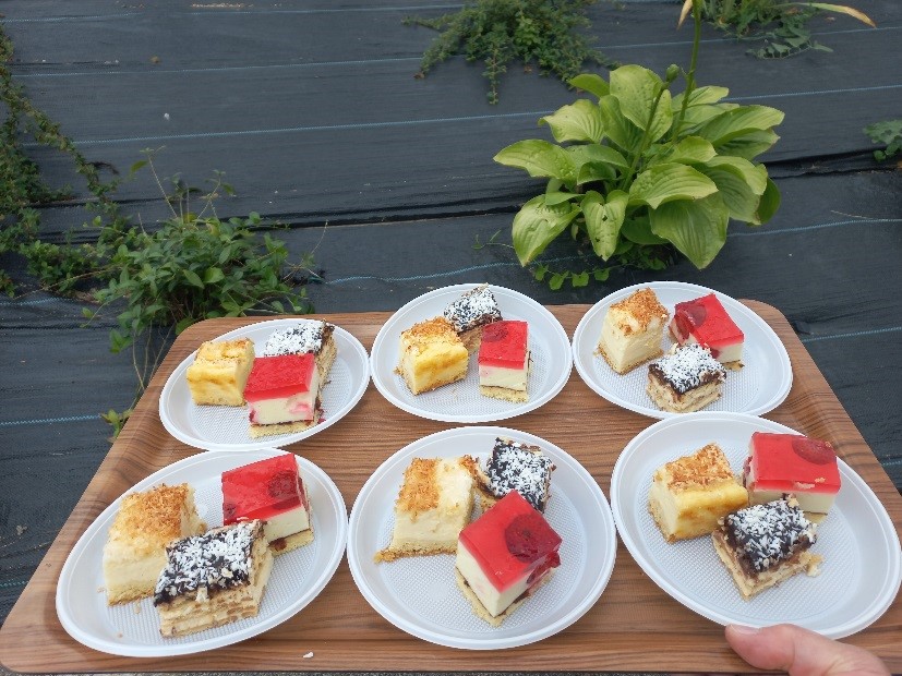fotografia przedstawia stół, na którym znajduje się 6 talerzyków z porcjami trzech rodzajów sernika