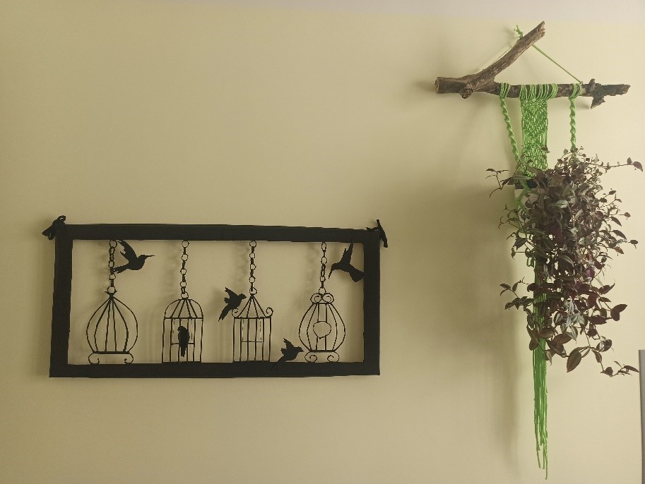 Fotografia Przedstawia ścianę DDP, na której z lewej strony zawieszony jest przestrzenny obraz – klatki dla ptakóww i ptaki, natomiast z prawej strony na gałęzi zawieszony jest zielony kwietnik wykonany ze sznurka a w nim kwiat doniczkowy