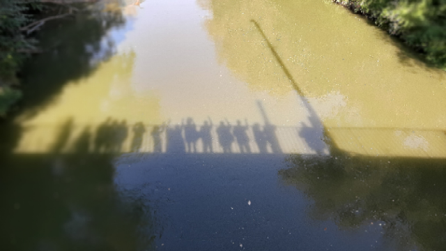 Na zdjęciu cienie naszych seniorów odbite w Leśnickiej Bystrzycy podczas wspólnego spaceru.