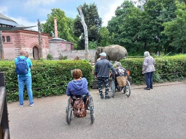 Zdjęcie nr.2 Przedstawia mieszkańców znajdujących się w Zoo, oglądających słonia wśród zieleni.