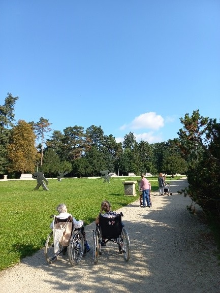 Zdjęcie pokazuje mieszkańców oglądających rzeźby znajdujące się na trawie. Na drugim planie mamy zieleń-drzewa.